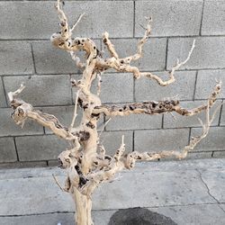Grapevine Wood For Pets