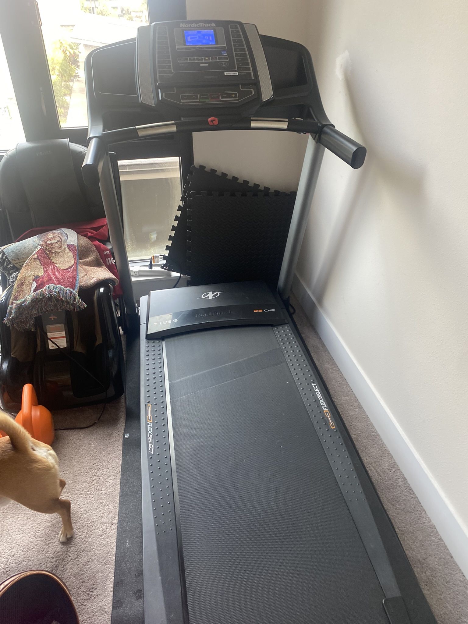  Barely Used Treadmill  with  Free airdyne bike For The Taking 