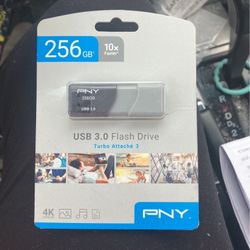 PNY 256 GB USB 3.0 Flash Drive 