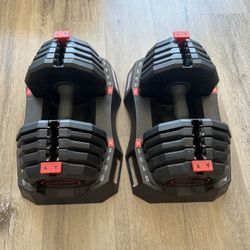 Adjustable weights 10-50 Lbs