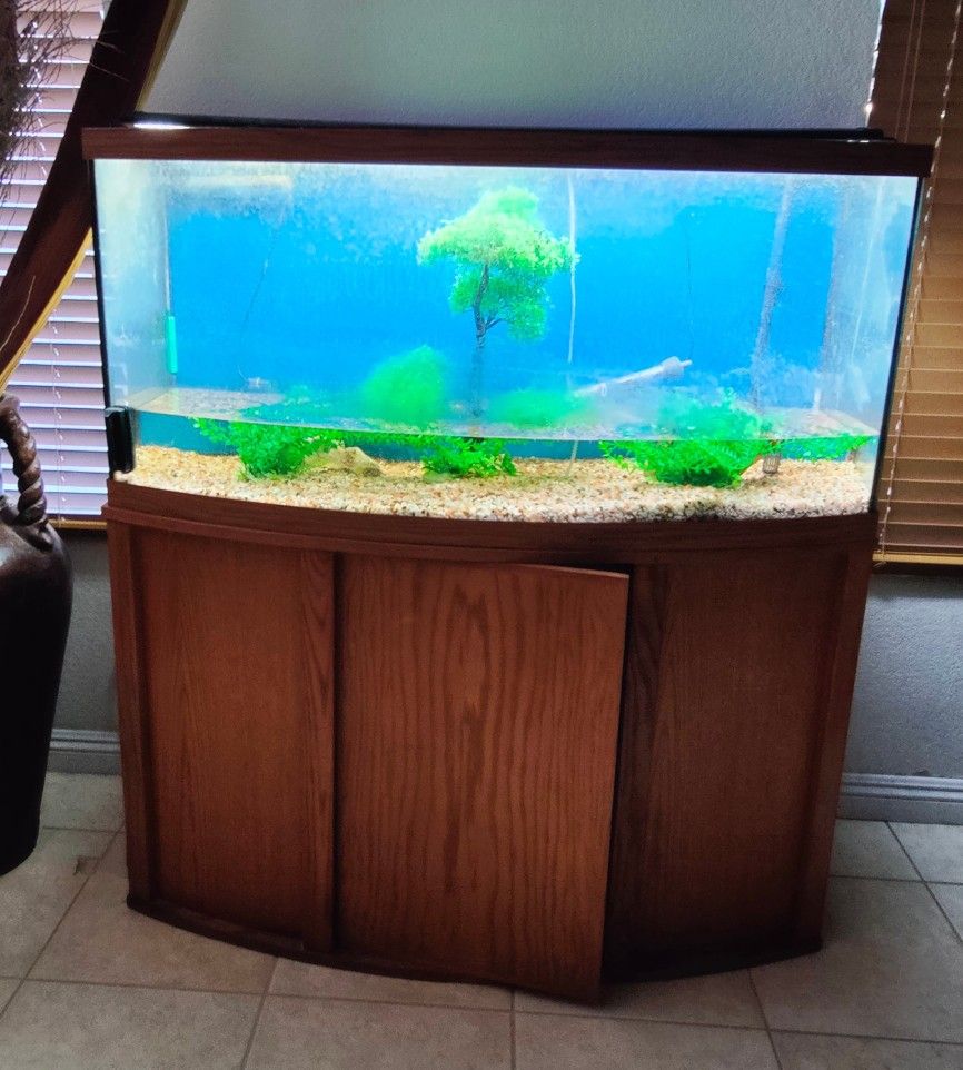 Aquarium / Fish Tank, 60 Gallon Oval Shape
