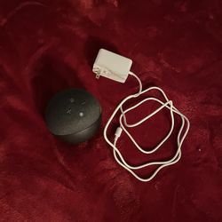 Amazon Echo Dot