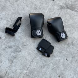 Mayweather Boxing Gloves