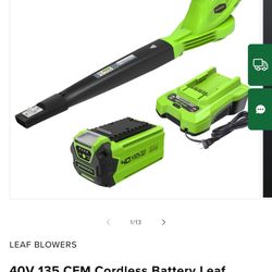 Green works Leaf Blower 