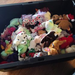 81 Beanie Babies