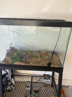 Fish tank