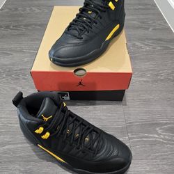 JORDAN 12
