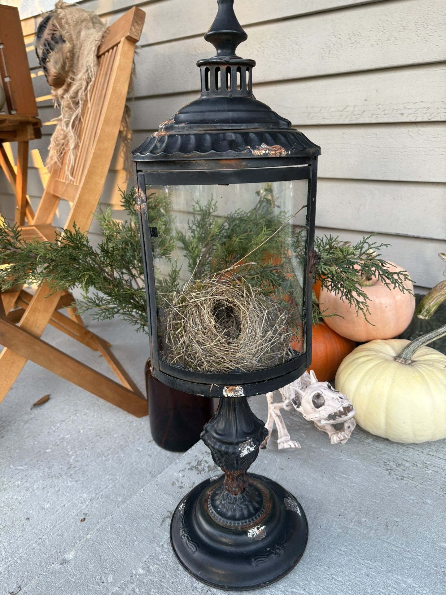 Whimsical Home Decor