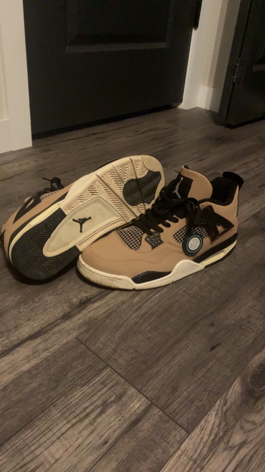 Jordan retro 4 Mushroom/fossil