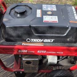 Troy Bilt Generator 