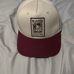 Monkey D. Luffy Wanted Poster Hat 