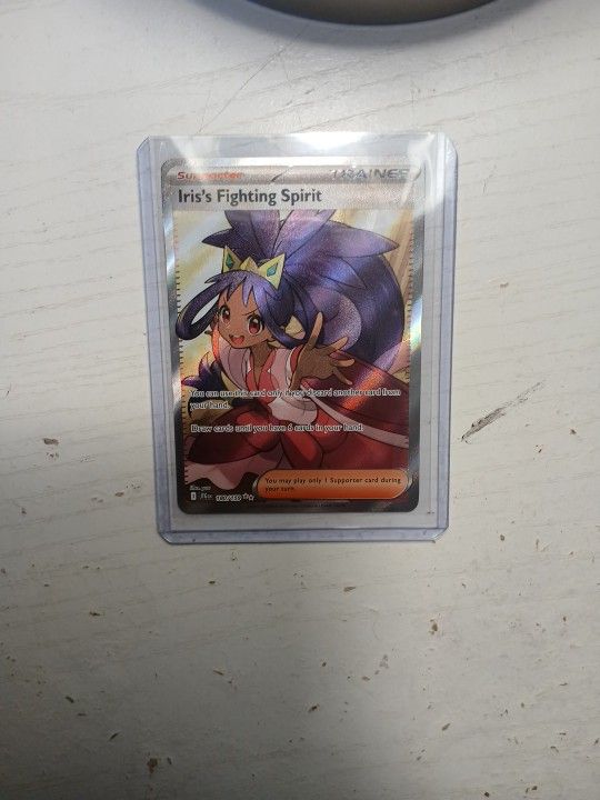 Pokemon Trainer Iris Fighting Spirit