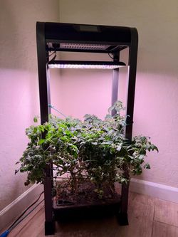 AeroGarden Farm 12XL Indoor Hydroponic Garden