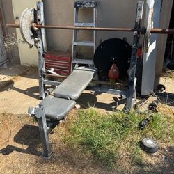 Bench Press With Bar And Weights 