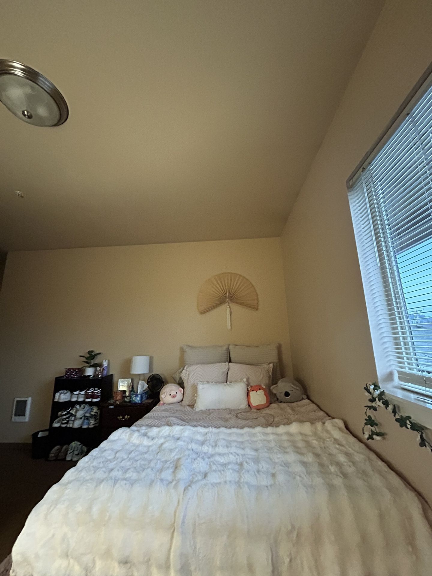 Queen Bed And Mattress