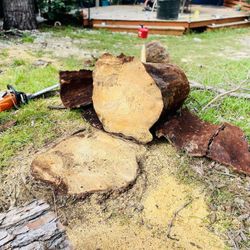 Trees-mulch-flowers -plants-rocks