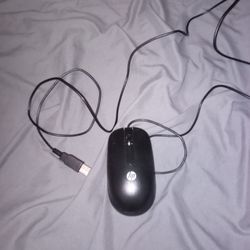 Computer Mouse