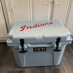 Yeti Roadie 20