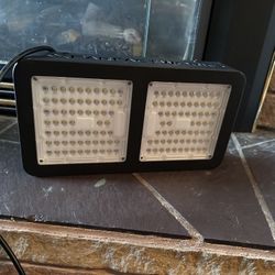 Grow Light