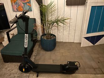Gotrax Eclipse Ultra -Adult Scooter Brand new 20miles on it