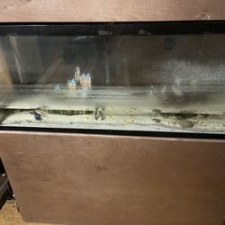 50 Gallon Tank 200