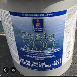 Eggshell Paint Color (Seagull) Ligh Grey