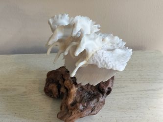 Vintage Collectible John Perry Art Burlwood With Sculpture Of Horses Made Of Pellucida Resin.
