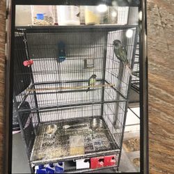Quaker Cage 
