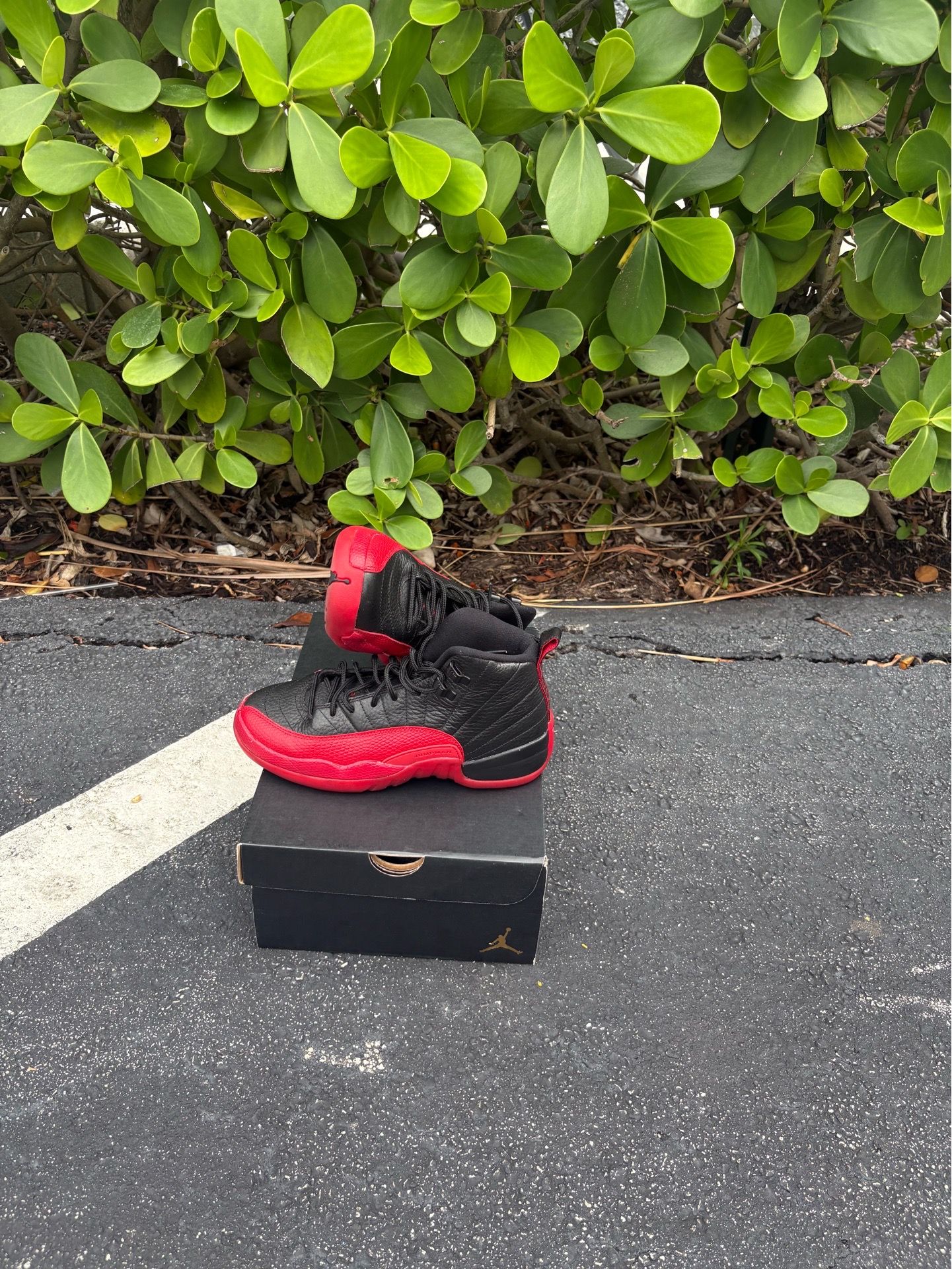 12s size 5.5y