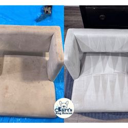 Carpet, Rug, Couch, Chair 