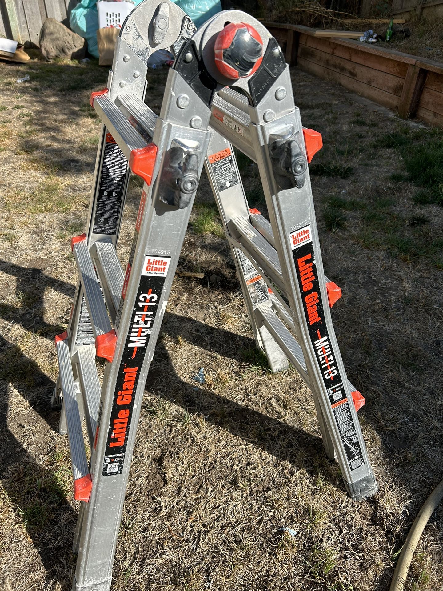 Little Giant Ladder