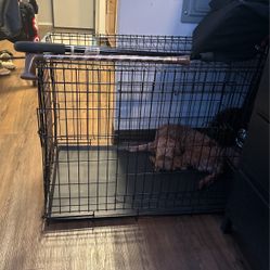 Folding Metal Dog Cage With Drip Tray 