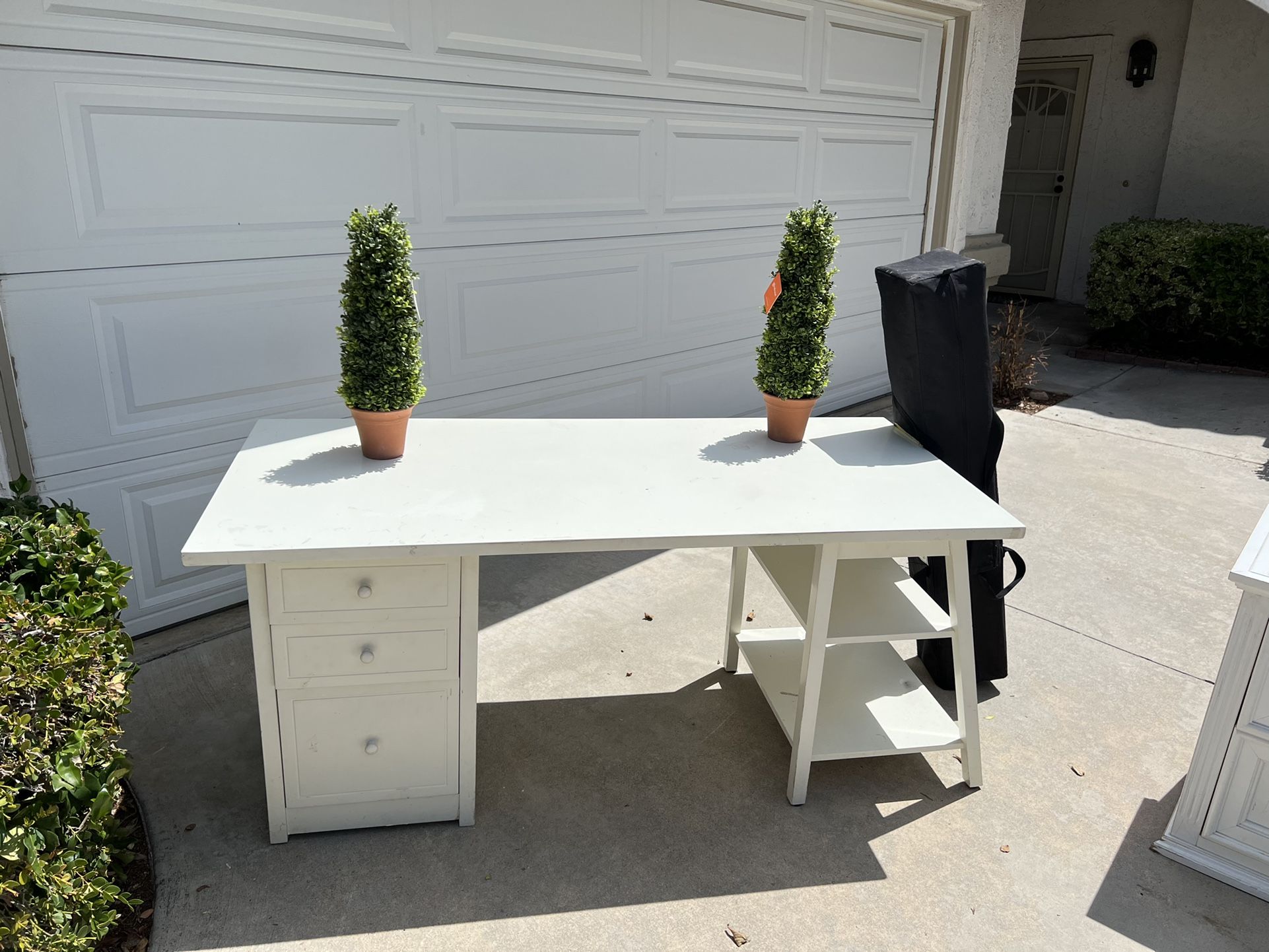 Desk, File Cabinet, EzUp And Plants 