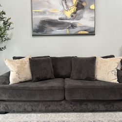 Two piece sofa couches