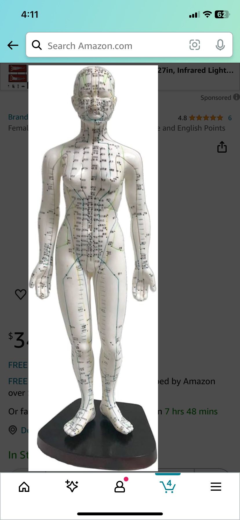 Female Acupuncture Model 19" with Chinese