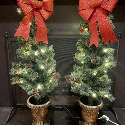 PORCH CHRISTMAS TREES 🎄 🎄