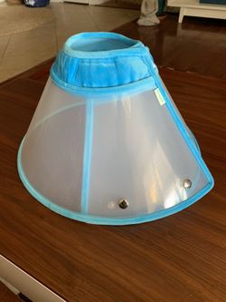 Elizabethan Collar for when your Dog Gets Snipped!