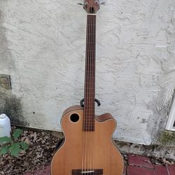 Boulder Creek 5 string fretless Acoustic/Electric Bass Guitar  + Case