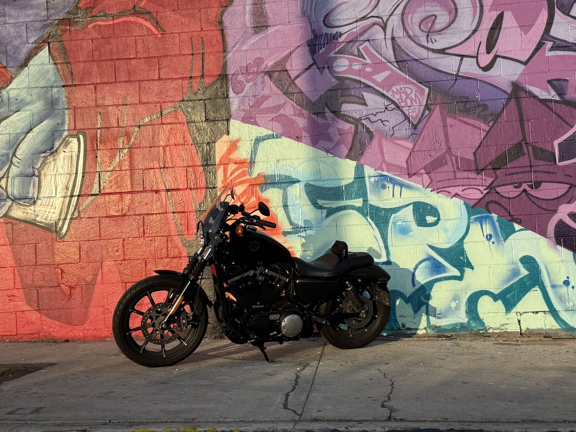 2022 Harley Davidson Sportster