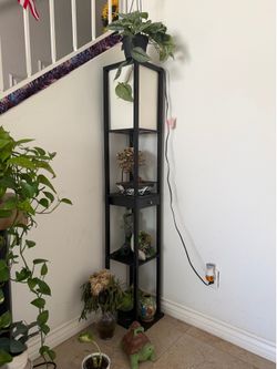 Lamp Shelves