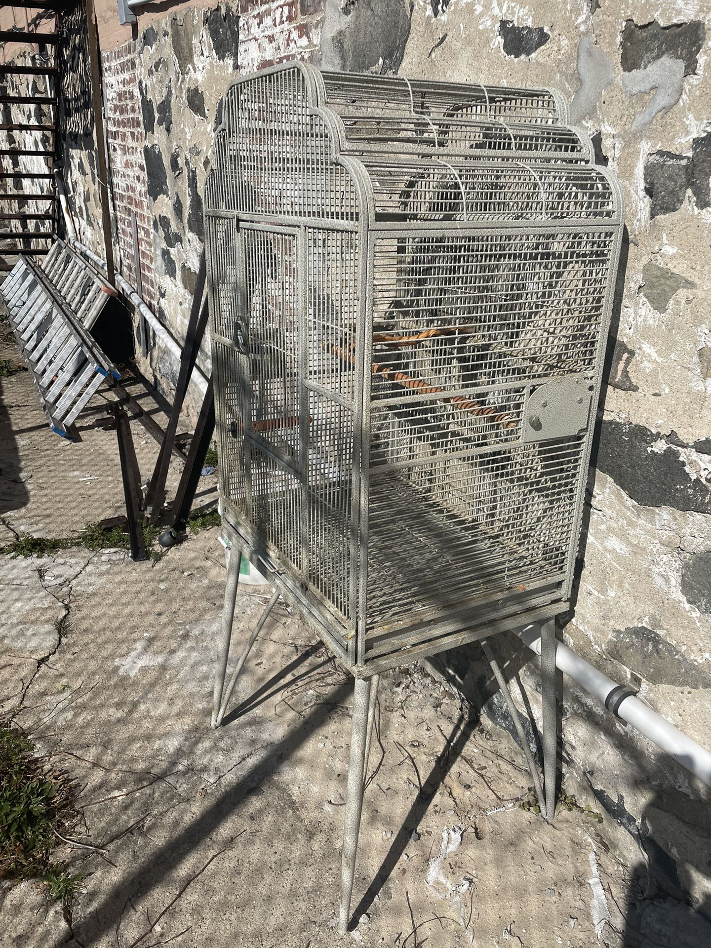 Birde cage 
