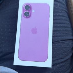iPhone 16 Pink 