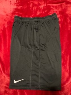 Nike men’s training dri fit shorts medium