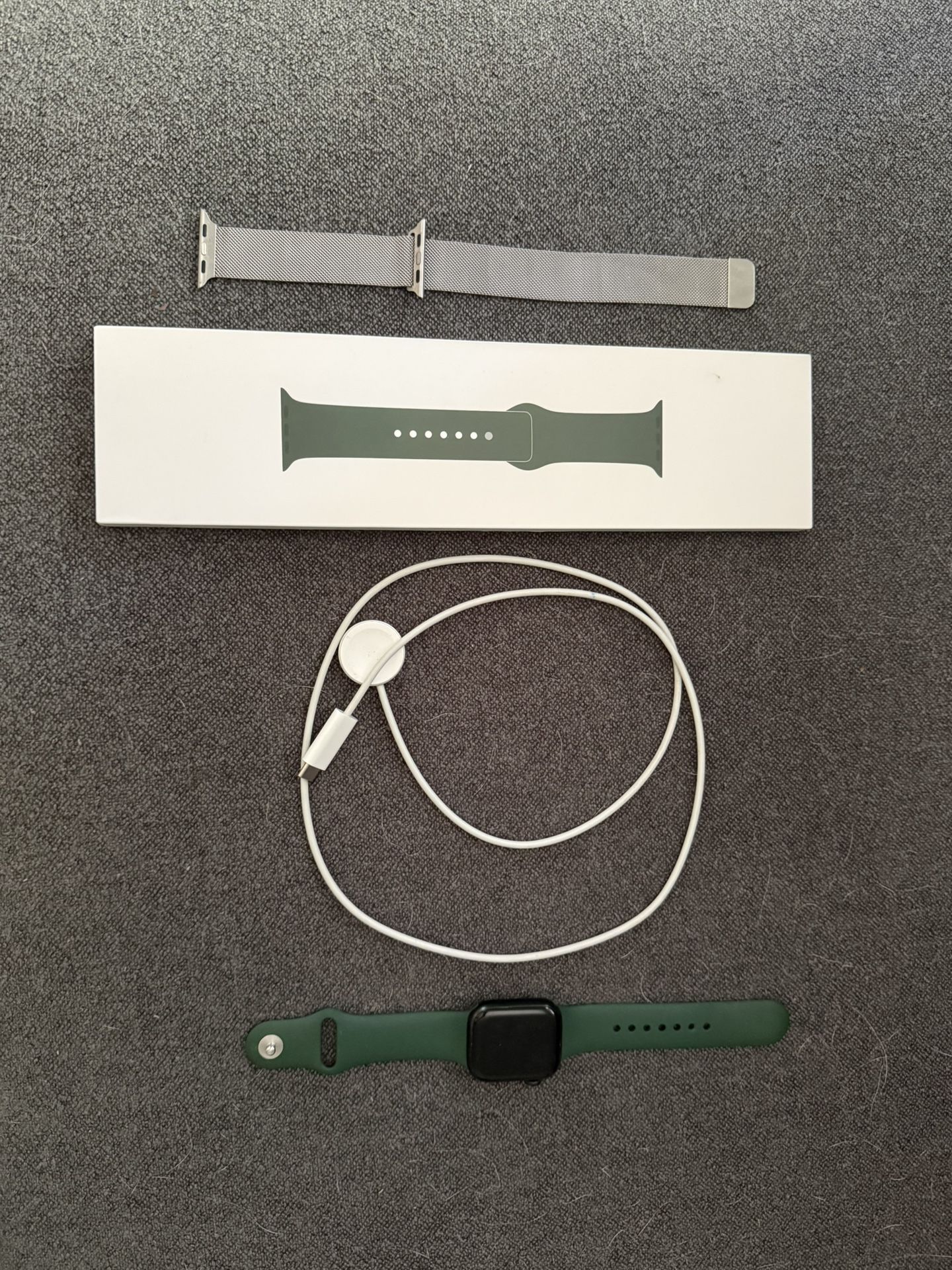 Apple Watch Series 7 (Magnetic Silver Wristband)