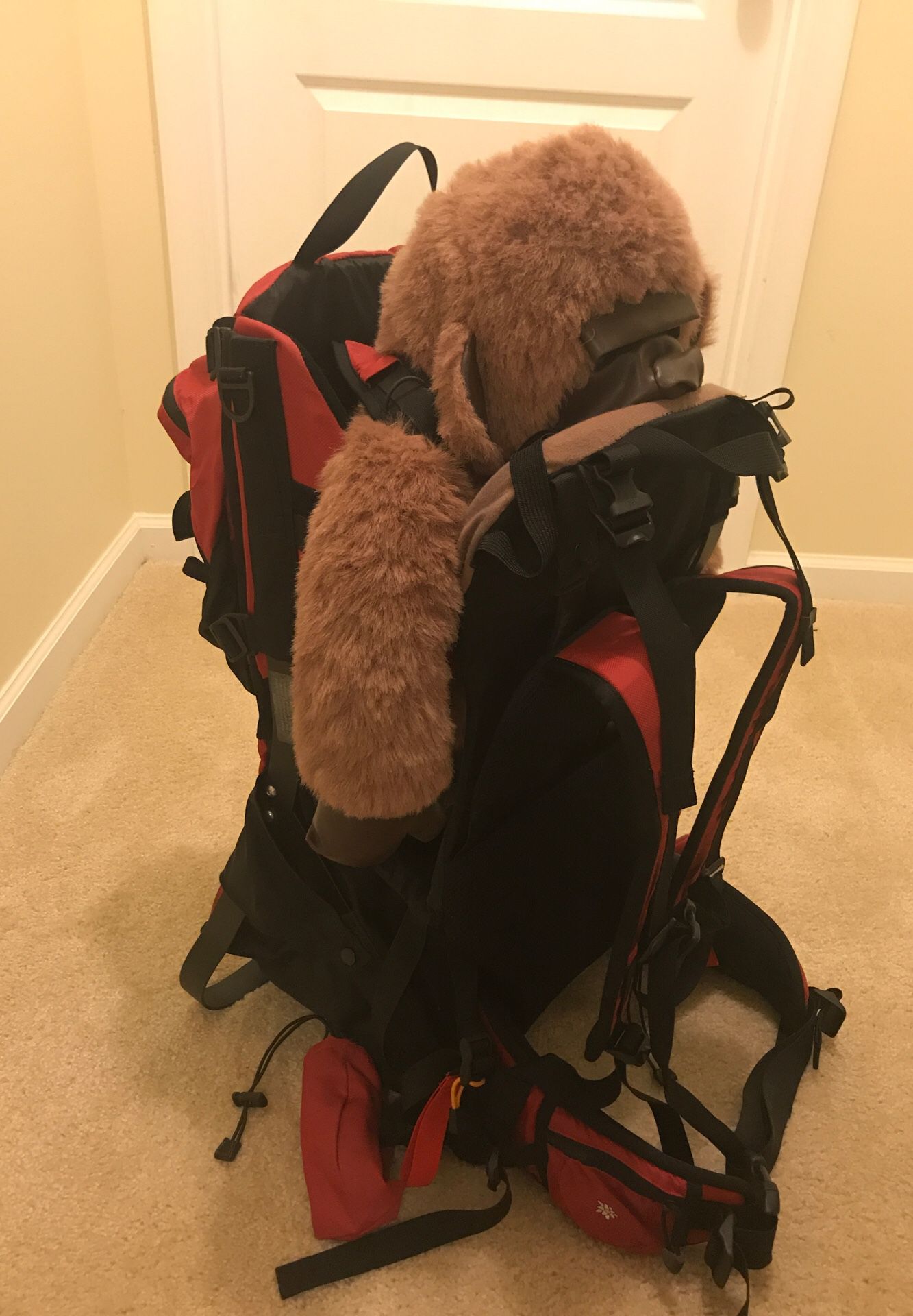 Sherpani dumbo baby backpack, hiking backpack