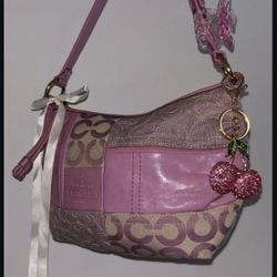 Rare Vintage Coach Purse 