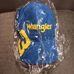 Nascar Dale Earnhardt Jr Cap
