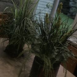 Artificial Plant Decor