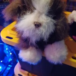Furreal Pet
