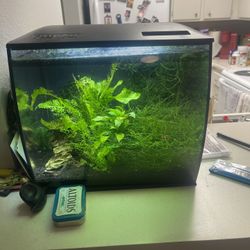 Fluval Flex 9 Gallons 